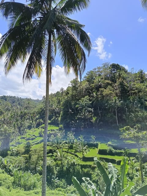 Ubud: Combination Ubud Full Day Trip With Private Guide - Customizable Tour Options