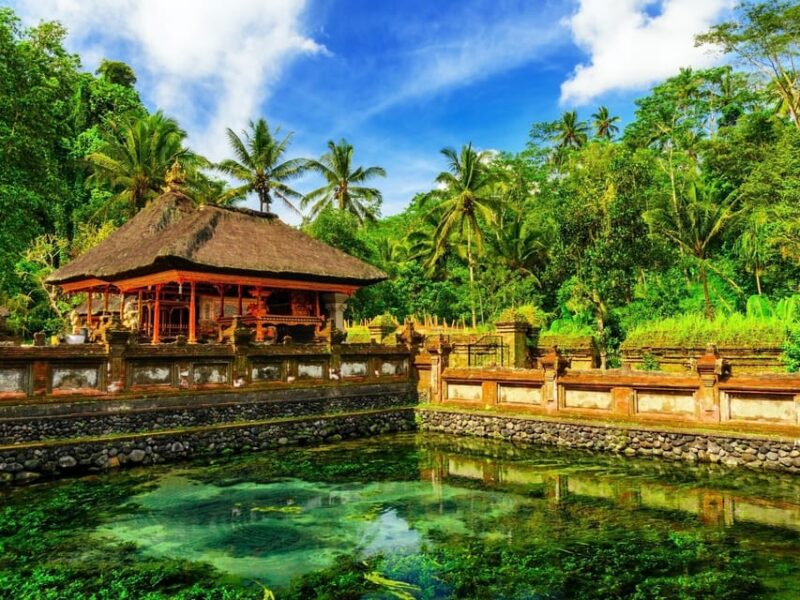 Ubud: Complete Full-Day Tour. Rice Terraces, Swing, & More. - Itinerary Highlights