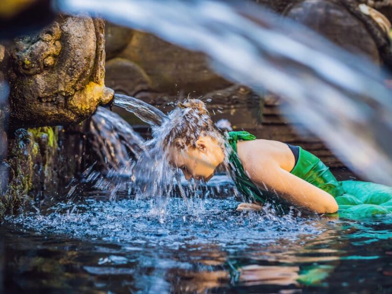 Ubud: Complete Full-Day Tour. Rice Terraces, Swing, & More. - Important Information