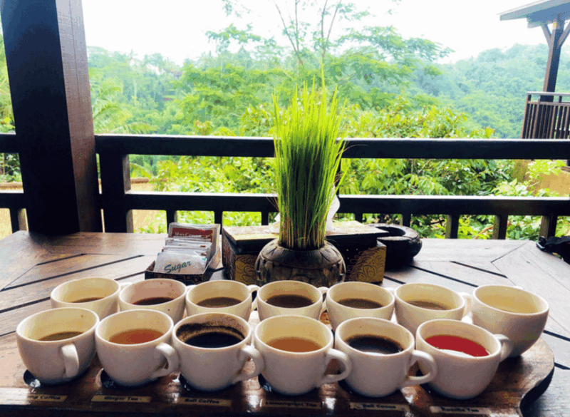 Ubud Core Area Check-Out Tour - Key Points