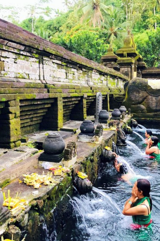 Ubud Core Area Check-Out Tour - Inclusions