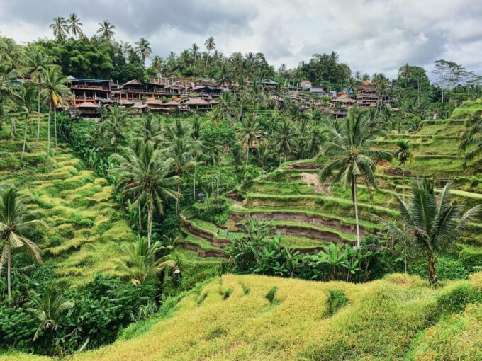 Ubud Core Area Check-Out Tour - Booking Flexibility