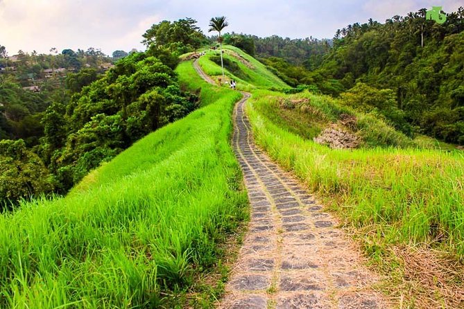 Ubud Countryside Tour: Campuhan Ridge Walk and Rice Terrace - Inclusions