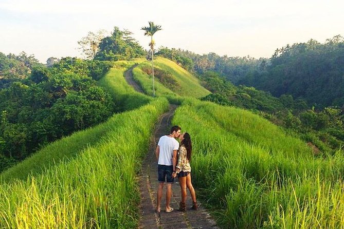 Ubud Countryside Tour: Campuhan Ridge Walk and Rice Terrace - Tegalalang Rice Terraces
