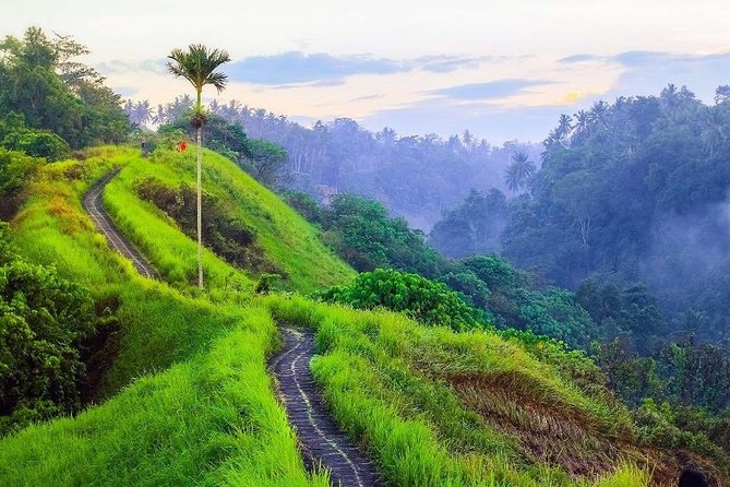 Ubud Countryside Tour: Campuhan Ridge Walk and Rice Terrace - Tegenungan Waterfall