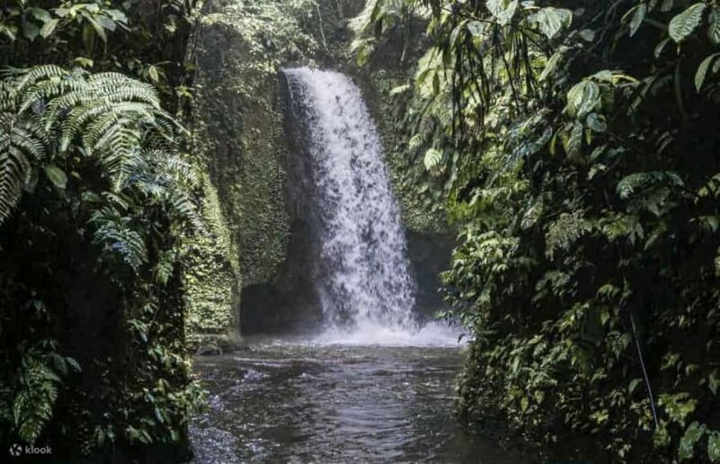 Ubud: Cretya Infinity Pool, Hidden Waterfall & Water Temple - The Sum Up