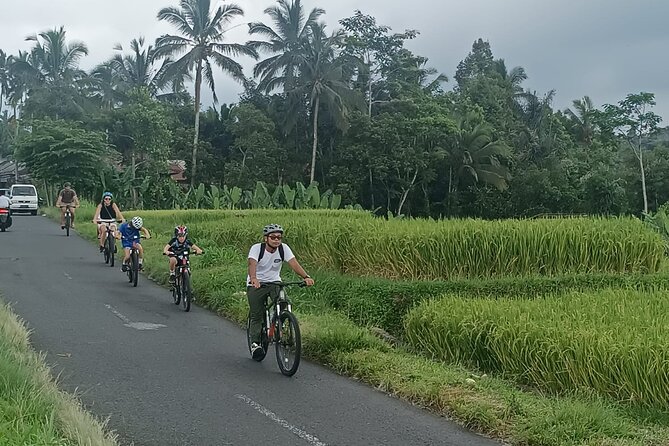 Ubud Cultural and Natural Downhill Cycling Tour - Inclusions