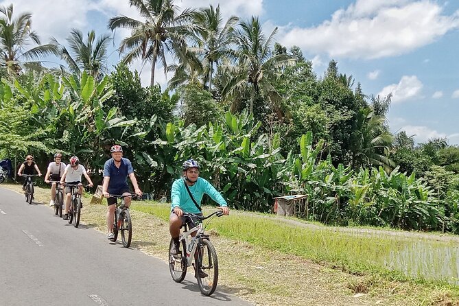 Ubud Cultural and Natural Downhill Cycling Tour - Guidance
