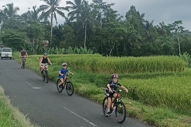 Ubud Cultural and Natural Downhill Cycling Tour - Booking Information