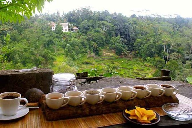 Ubud Cultural Tour - Customer Feedback and Ratings
