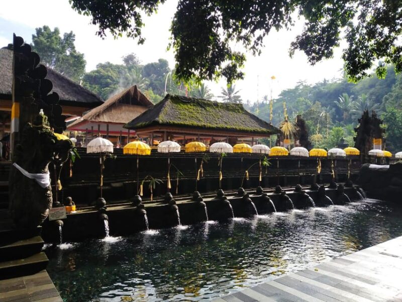 Ubud Culture and Heritage Tour - Included Services