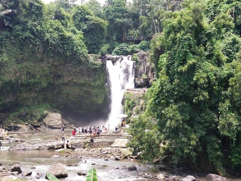 Ubud Culture and Heritage Tour - Important Information
