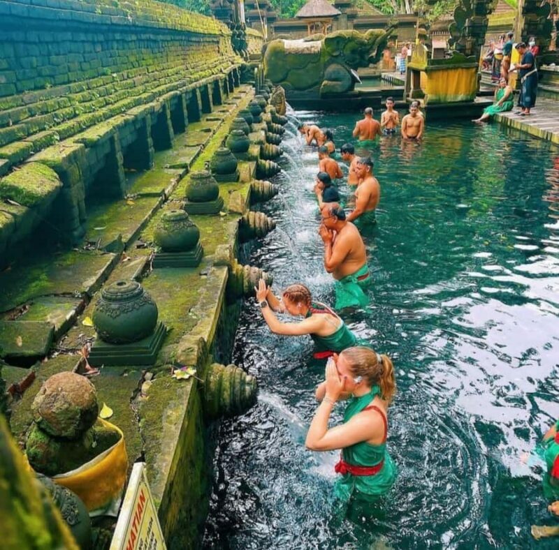 Ubud: Customised private day trip with personal driver - Key Points