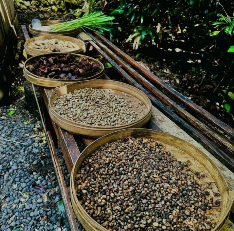 Ubud: Customised private day trip with personal driver - Exploring Bali with a Private Driver: What to Expect