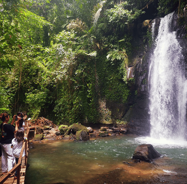 Ubud: Customised Private Full Day Tour With Personal Driver - Experience Highlights