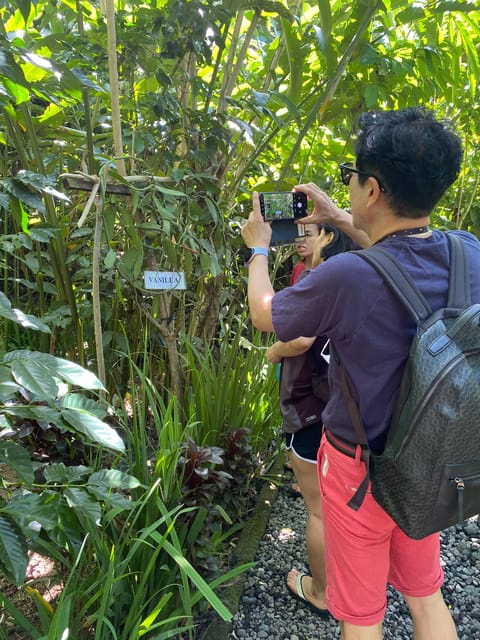 Ubud: Customised Private Full Day Tour With Personal Driver - Live Tour Guide