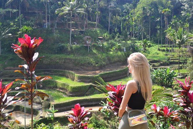 Ubud Customizable Tours Swing, Waterfall and Temple - Tour Features