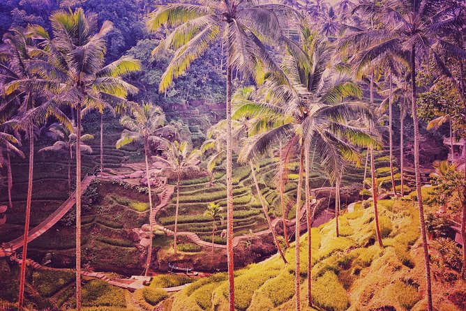 Ubud Customizable Tours Swing, Waterfall and Temple - Accessibility and Recommendations