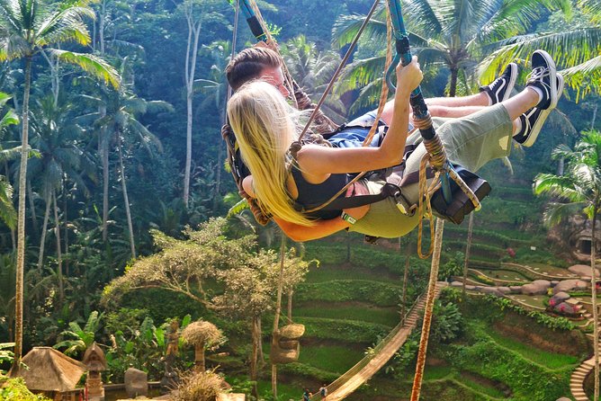 Ubud Customizable Tours Swing, Waterfall and Temple - Customer Feedback