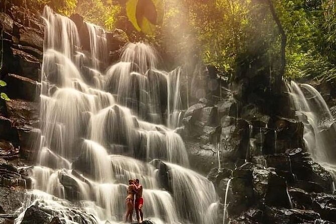 Ubud Customized Full Day Tour - Visit Most Favorite in Ubud - Inclusions