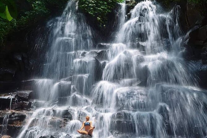 Ubud Customized Full Day Tour - Visit Most Favorite in Ubud - Important Information