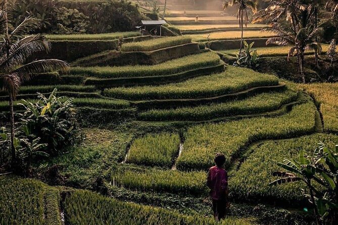 Ubud Customized Full Day Tour - Visit Most Favorite in Ubud - Travel Pace