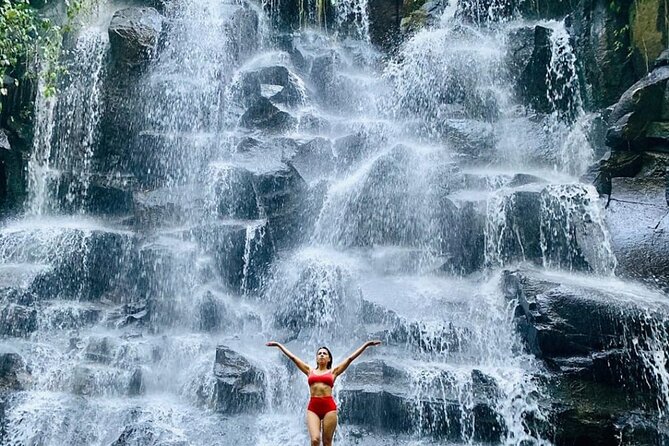 Ubud Customized Full Day Tour - Visit Most Favorite in Ubud - Pricing