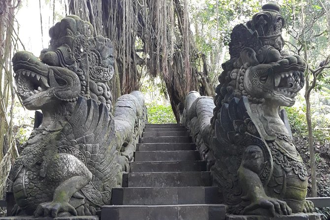Ubud Customized Private Tour - Health and Accessibility