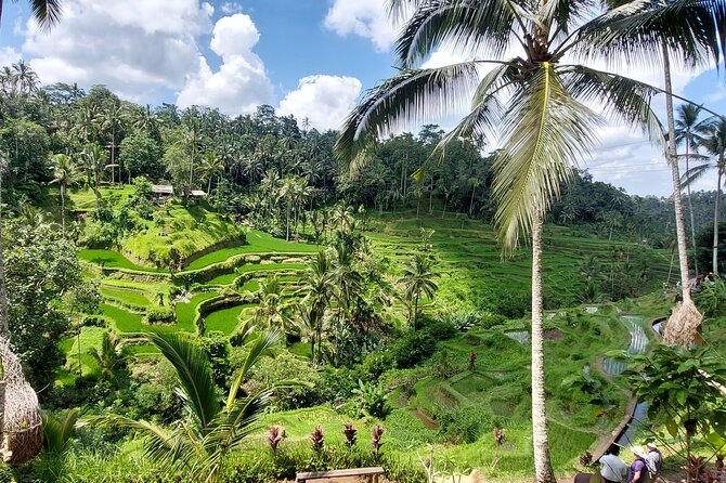 Ubud Customized Private Tour - Pricing and Cancellation