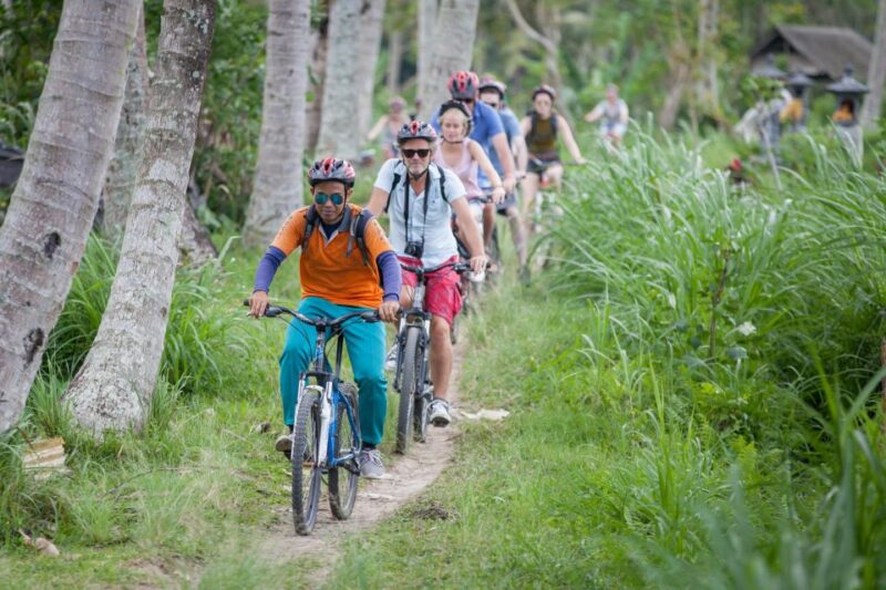 Ubud Cycling Tour : All Inclusive Cycling Adventure - Drop-off Locations