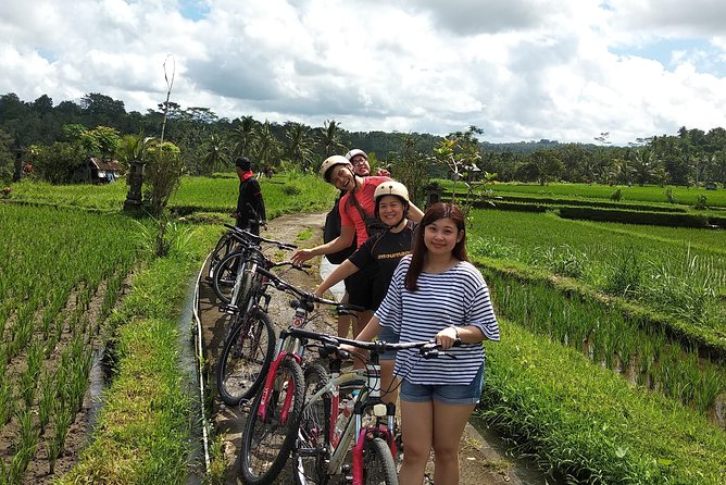 Ubud Cycling Tour - Tegalalang Rice Terrace