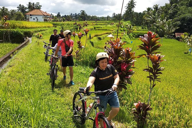 Ubud Cycling Tour - Traveler Reviews