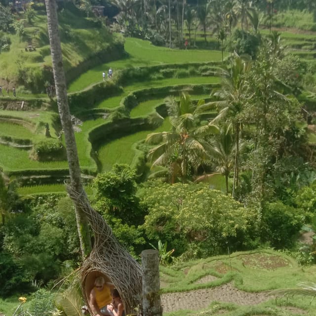 Ubud Day Tour and Rice Terras - Inclusions and Exclusions