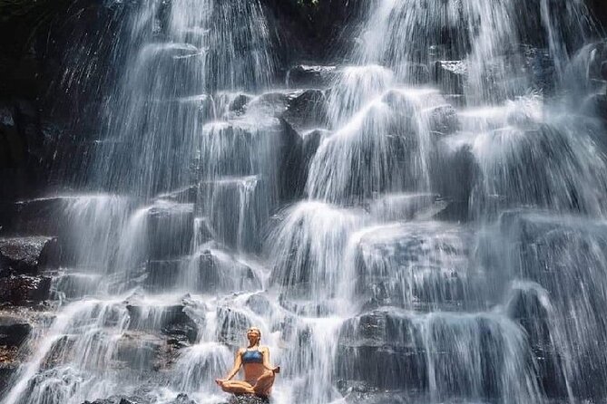 Ubud Day Tour : Waterfall, Temple and Local Night Market Tour - Tegalalang Rice Terrace