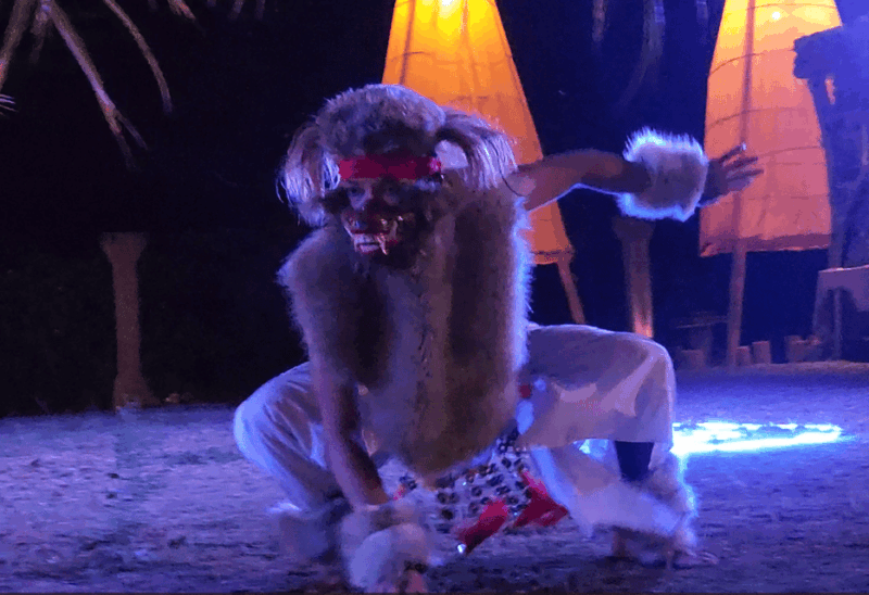 Ubud: Dinner Show Lost City - Story of Humanity Experience - Dinner and Amenities