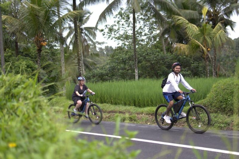 Ubud: Down Hill Cycling to Countryside and Local Village - Key Points