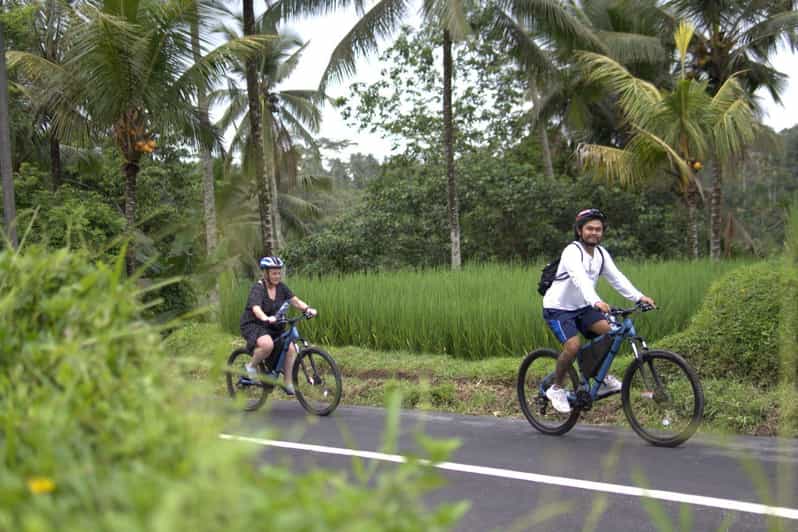 Ubud: Down Hill Cycling to Countryside and Local Village - Experience Highlights