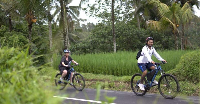 Ubud: Down Hill Cycling to Countryside and Local Village - Itinerary Details