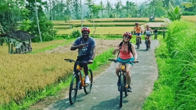 Ubud: Downhill Countryside Cycling From Kintamani - Key Points