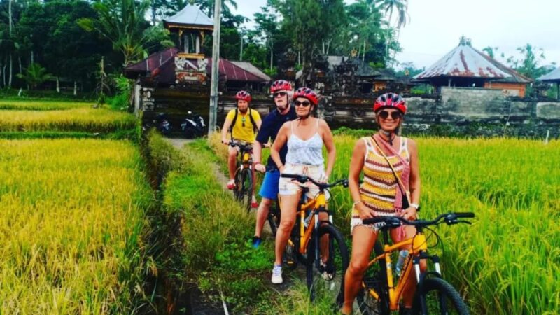 Ubud: Downhill Countryside Cycling From Kintamani - Activity Highlights