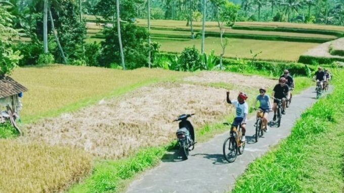 Ubud: Downhill Countryside Cycling From Kintamani - Customer Feedback