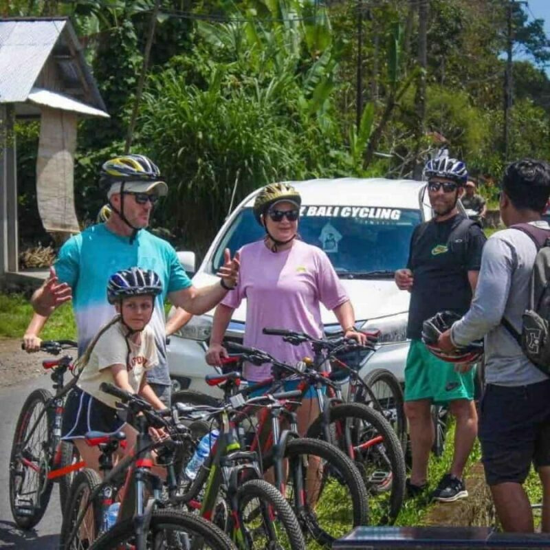 Ubud: Downhill Cycling Tour Through Jungle and Rice Terraces - A Closer Look at the Ubud Downhill Cycling Experience