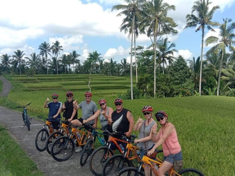 Ubud: Downhill Cycling Tour With Lunch and Hotel Transfer - Key Points