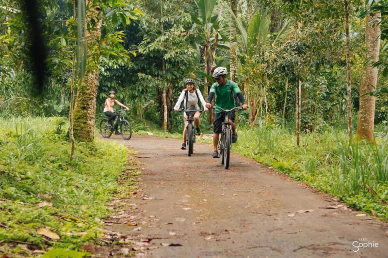 Ubud: Downhill Cycling Tour With Lunch and Hotel Transfer - Preparation and Guidelines