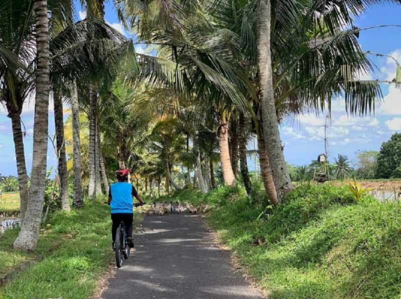 Ubud: Downhill Cycling With Volcano, Rice Terraces, and Meal - Itinerary Highlights