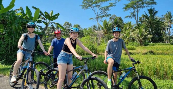 Ubud: Downhill Cycling With Volcano, Rice Terraces, and Meal - Customer Feedback