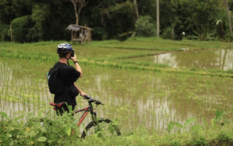 Ubud: Downhill Jungle & Rice Terrace Cycling Tour With Meals - What to Bring and Important Information