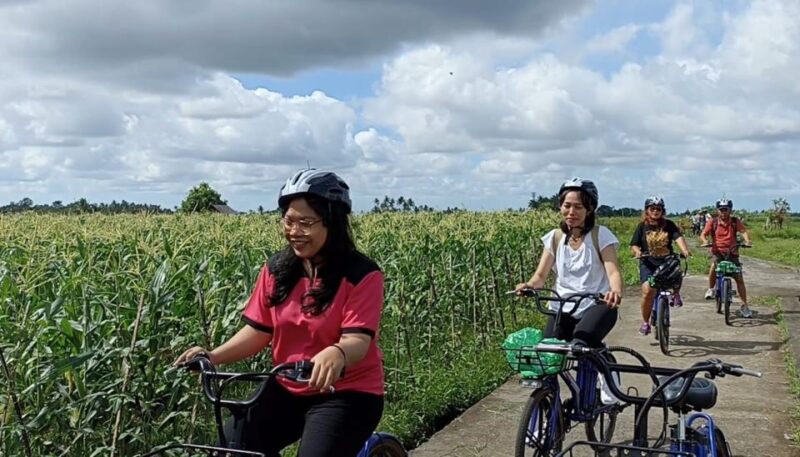 Ubud E-Bike Tour & Whitewater Rafting - Itinerary Details