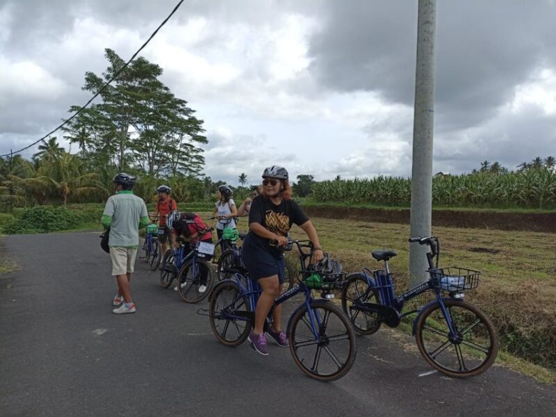 Ubud E-Bike Tour & Whitewater Rafting - Inclusions and Requirements