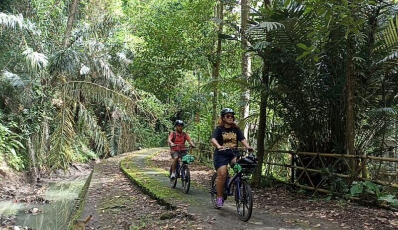 Ubud E-Bike Tour & Whitewater Rafting - Preparation and Customer Feedback